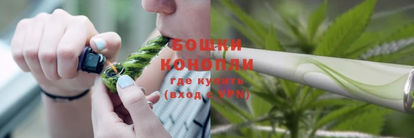 соль ск Бородино