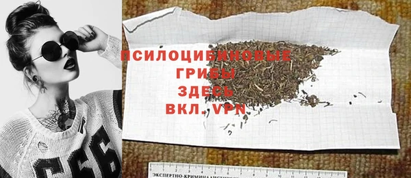 соль ск Бородино