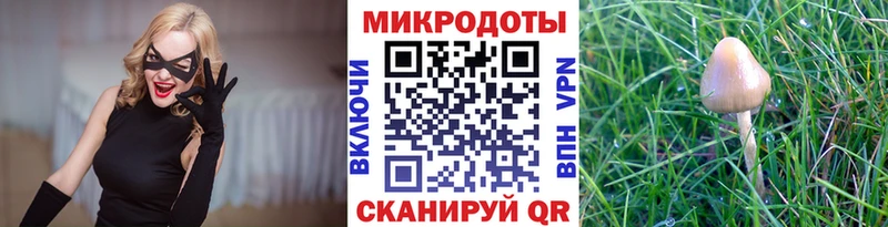 Купить где  Кунгур  Галлюциногенные грибы Psilocybine cubensis 